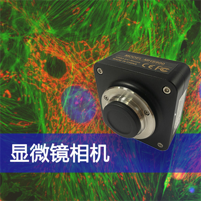 成像出色，高限度還原色彩真實(shí)性——廣州明慧顯微鏡相機(jī)