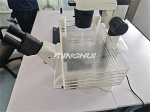 細(xì)胞工廠顯微鏡MH-3CF應(yīng)用于細(xì)胞觀察